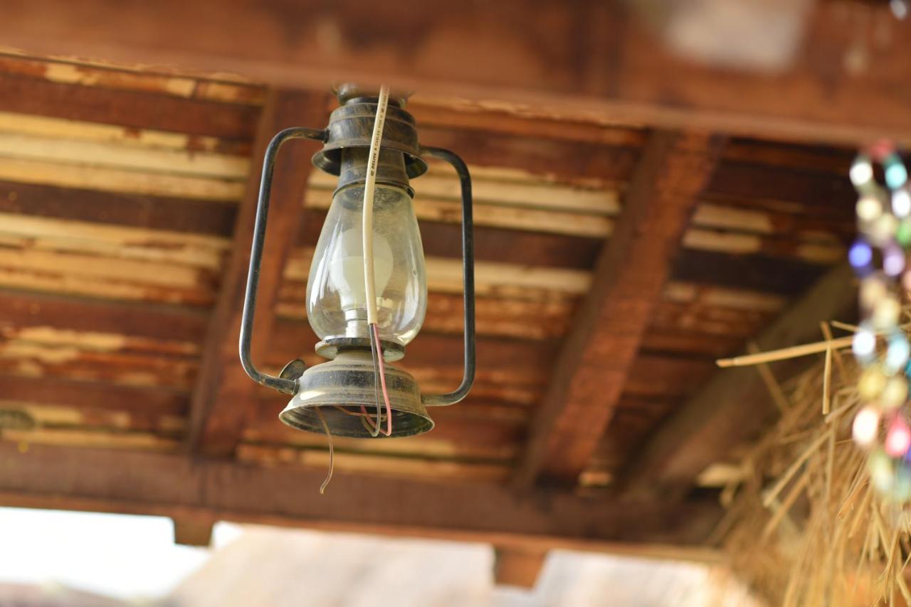 Rann Village Resort Bherandiāla エクステリア 写真